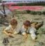 disque s�rie Aventures de Tom Sawyer [Les]